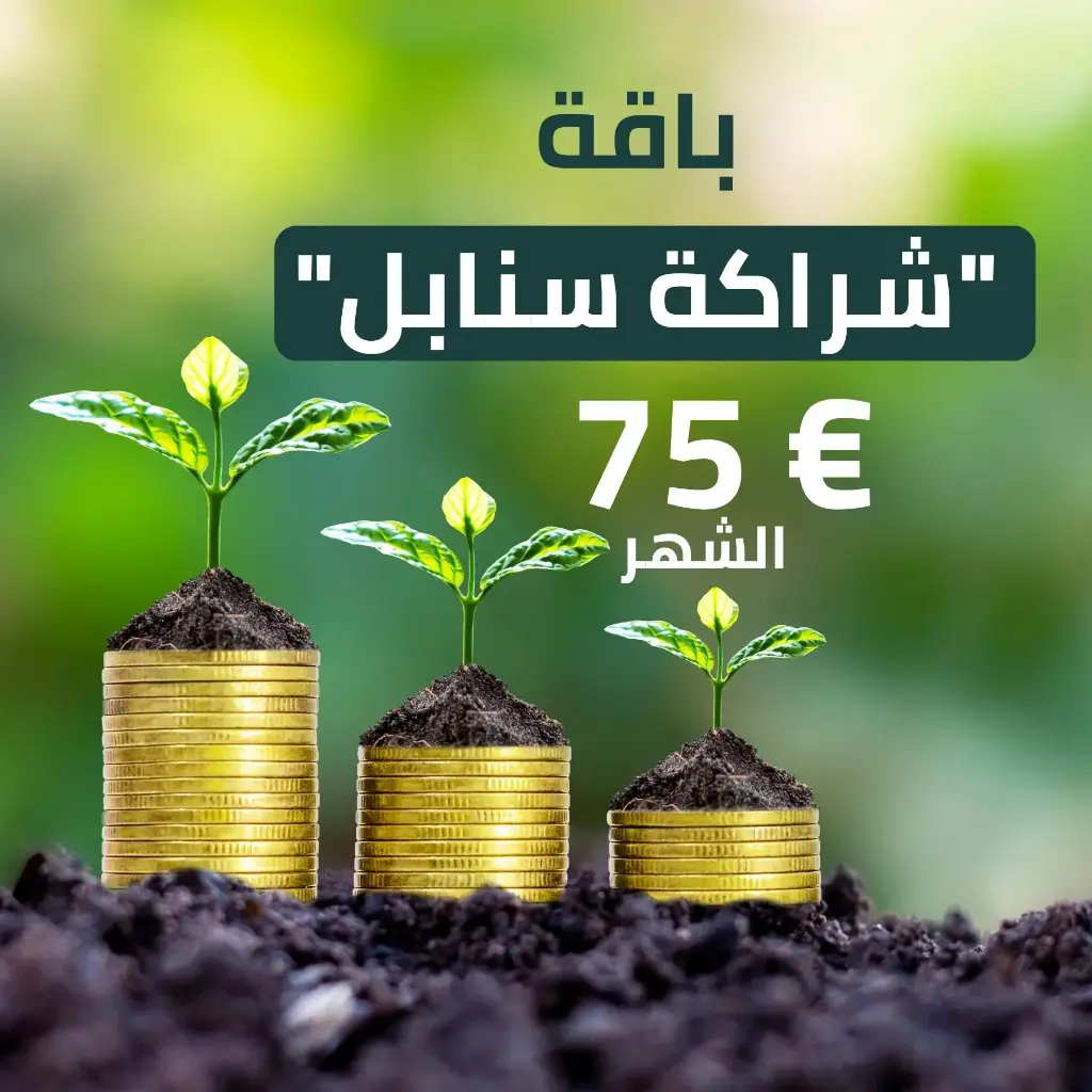 باقة "شراكة سنابل" 